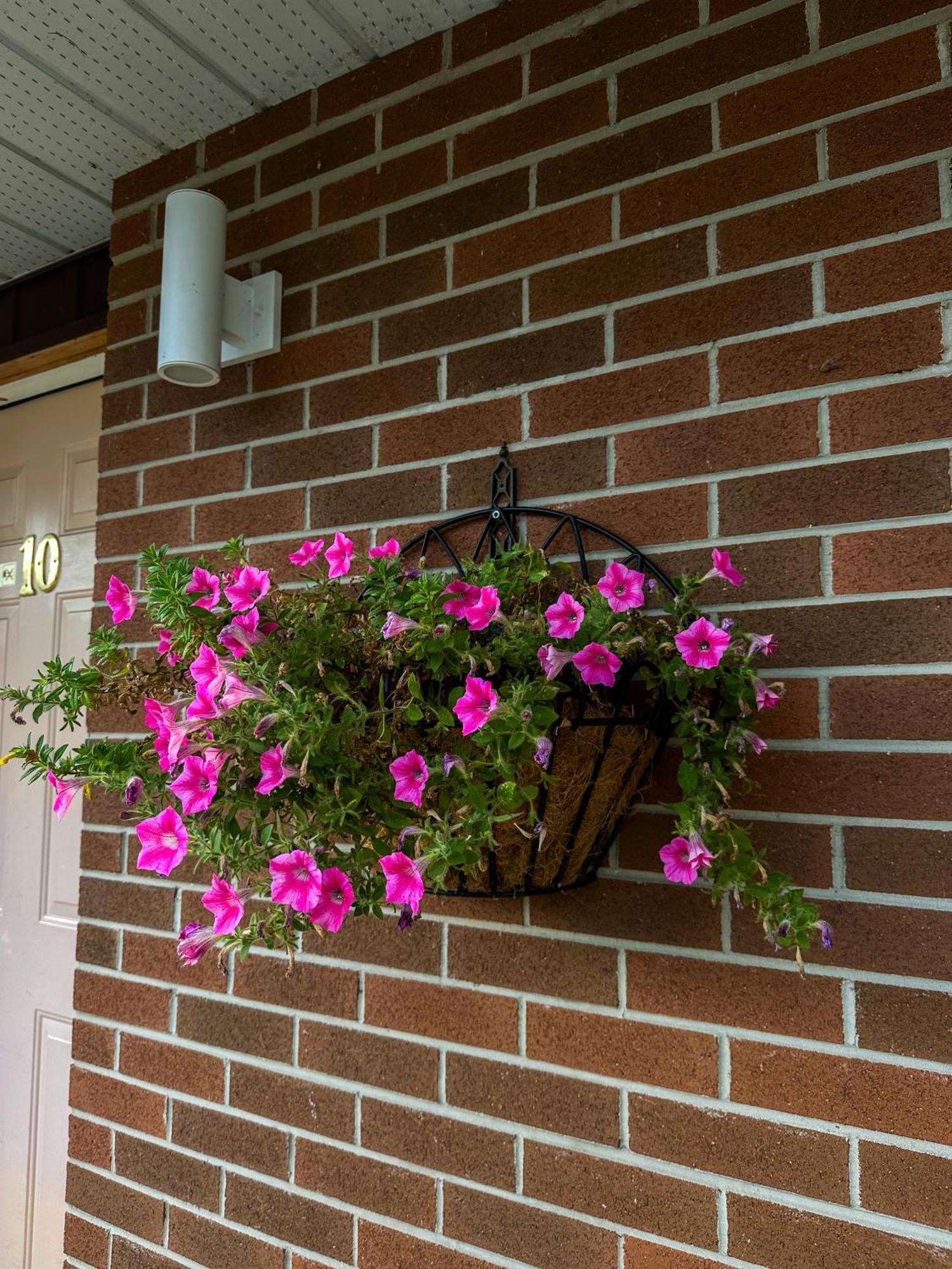 Oasis By The Bay Vacation Suites Wasaga Beach Zewnętrze zdjęcie